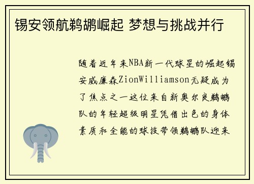 锡安领航鹈鹕崛起 梦想与挑战并行
