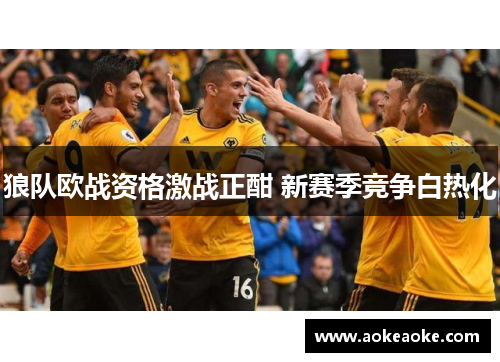 狼队欧战资格激战正酣 新赛季竞争白热化
